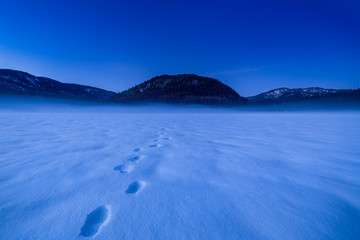 Footprints On A Frozen Lake