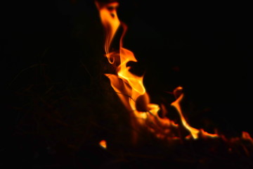 Fototapeta premium Fire 