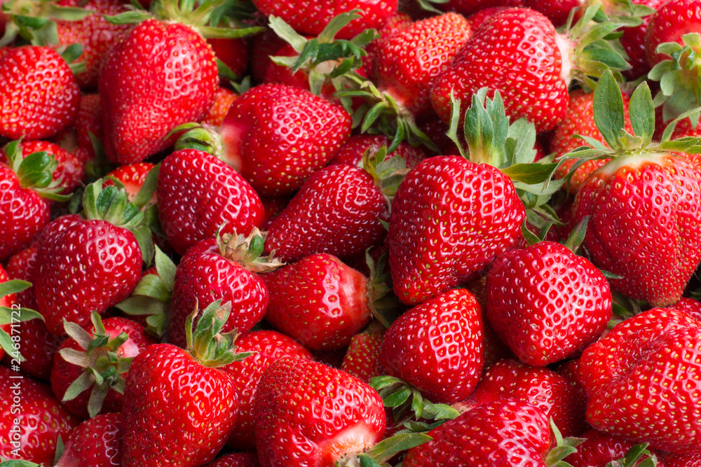 Wall mural fresh ripe strawberries