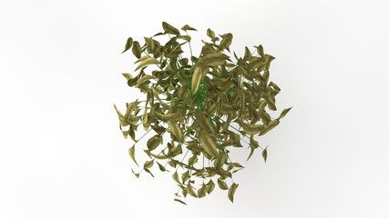 3d rendering of a plant isolated on white background