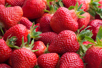 Fresh ripe strawberries