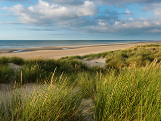 Fototapeta na wymiar Beach view in northern France with marram grass covered dunes in the foreground