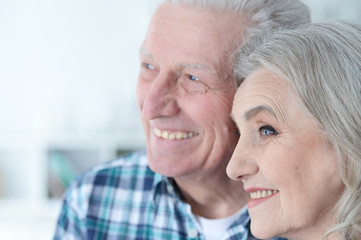 Portrait of happy Senior couple posing at home