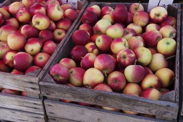 Frische Äpfel in einer Holzkiste auf dem Markt