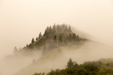 A hilltop in the alps overgrown with conifers, shrouded in fog.