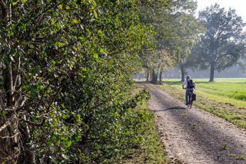 Fototapeta premium Radfahrer fährt auf einem Radweg am Waldesrand an Feldern vorbei viel Copyspace, Textfreiraum