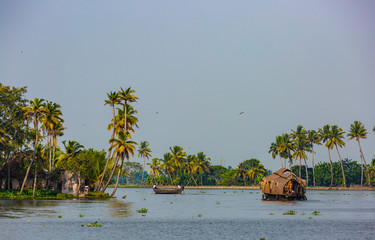 Boote in den Kerala Backwaters in Indien