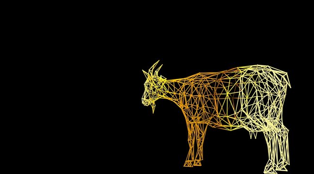 3d rendering of an animal wireframe isolated on a black background