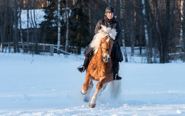 Fototapeta premium Woman horseback riding in winter