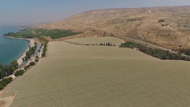  Plantations on the shore line of Kineret in Tiberia