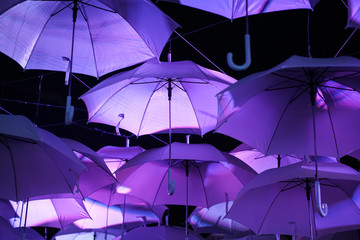 purple umbrella hang on wire for decoration