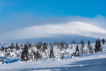 Mountain landscape