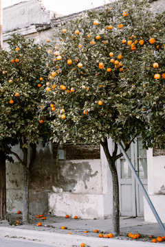 Typical argentinian facades