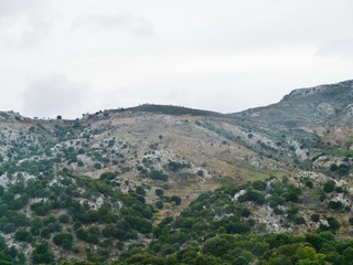 Fototapeta na wymiar Bewaldeter Berg auf Kreta