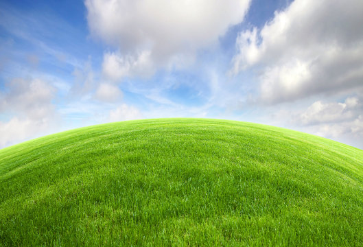 Fototapeta Green grass field with bright blue sky 