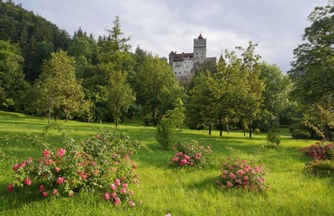 Fototapeta na wymiar Dracula castle in bran, Romania
