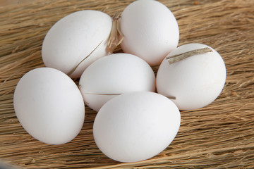 Chicken Eggs on dry grass. Feathers chicken.