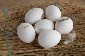 Chicken Eggs on dry grass. Feathers chicken.
