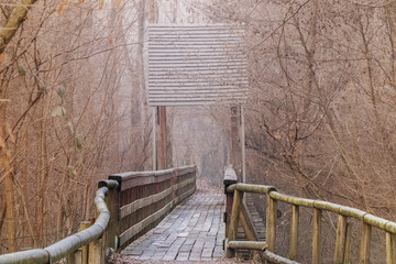 ponte nel bosco