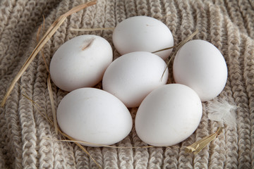 Chicken Eggs on a soft rug. Feathers chicken.