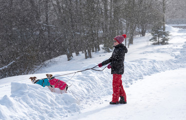 Woman walking with dogs in winter