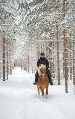 Woman horseback riding in forest