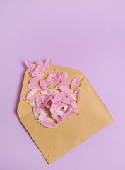 Envelope with flower's petals on colorful background.