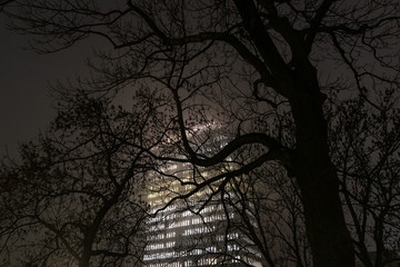 trees and building on a foggy night