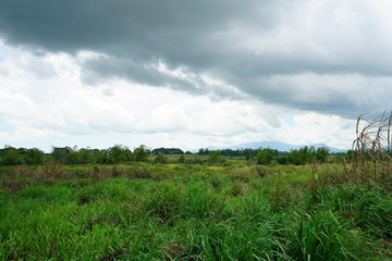 View of the countryside outside of Bacolod City, Philippines