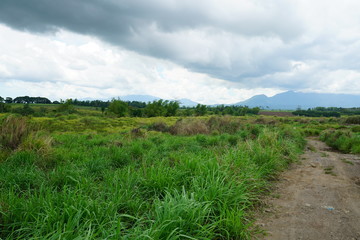 View of the province countryside near Bacolod City, Philippines