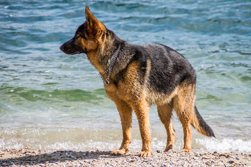 Abbadia Lariana (Lago di Como, Lombardia)