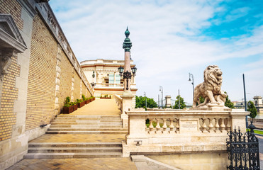 Fototapeta na wymiar lion statue on stairs in Buda castle at entrance, Budapest
