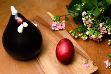 Chiken with naturally onion painted Easter egg on a wooden table. Easter holiday concept.