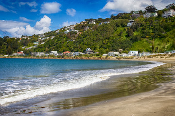 A public beach in Wellington during a beautiful sunny day