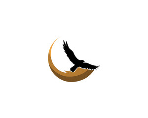 Obraz na płótnie Canvas Falcon Wing Logo Template vector icon design