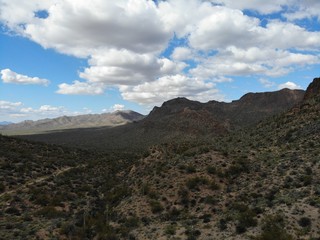 Saguaro National Park