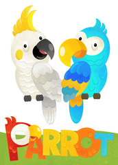 cartoon scene with happy parrot on white background with name sign of animal - illustration for children