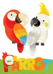 cartoon scene with happy parrot on white background with name sign of animal - illustration for children