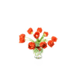 Spring tulips in vase, isolated on white background