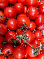 fresh tomatoes. red tomatoes background. Group of tomatoes.