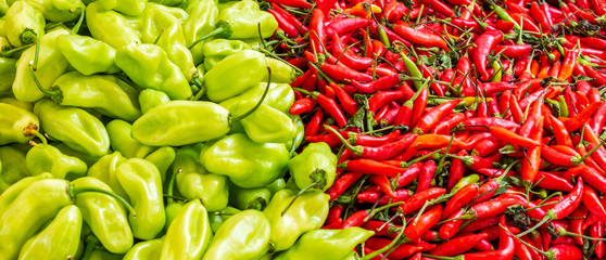 bench with varieties of peppers