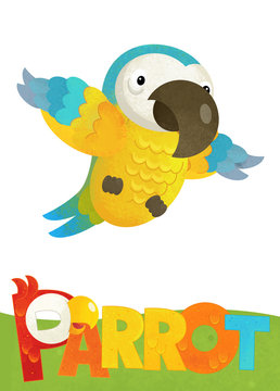 cartoon scene with happy parrot on white background with name sign of animal - illustration for children