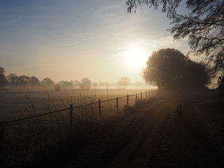 Begr&uuml;&szlig;ung im Dunst &ndash; Wintermorgen