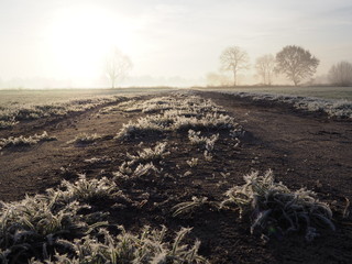 Bodenfrost – Feldweg am Wintermorgen