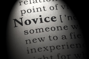 definition of novice