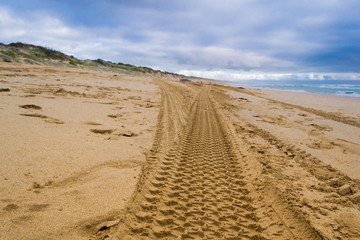 Australia sand beach landscape with offroad cars