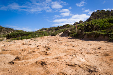 Rocky offroad track in conservational park in South Australia