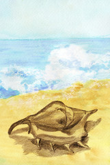 Obraz premium Hand painted abstract watercolor beach theme with brown seashel on textured paper