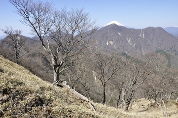 Fototapeta premium 重なり合う山 富士山と西丹沢稜線