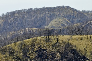 Naklejka premium 早春の丹沢山と鬼ヶ岩ノ頭